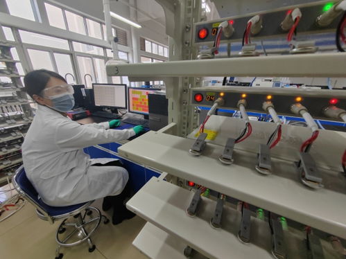 中国首创！洛阳牡丹壳变废为宝，开启钠电池负极材料新纪元